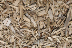 biomass boilers Horndean